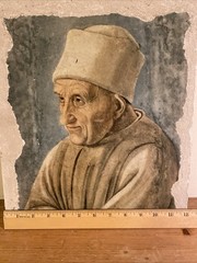 Vintage Fresco Art Repro Painting Filippo Lippi Old Man Portrait Firenze Italy