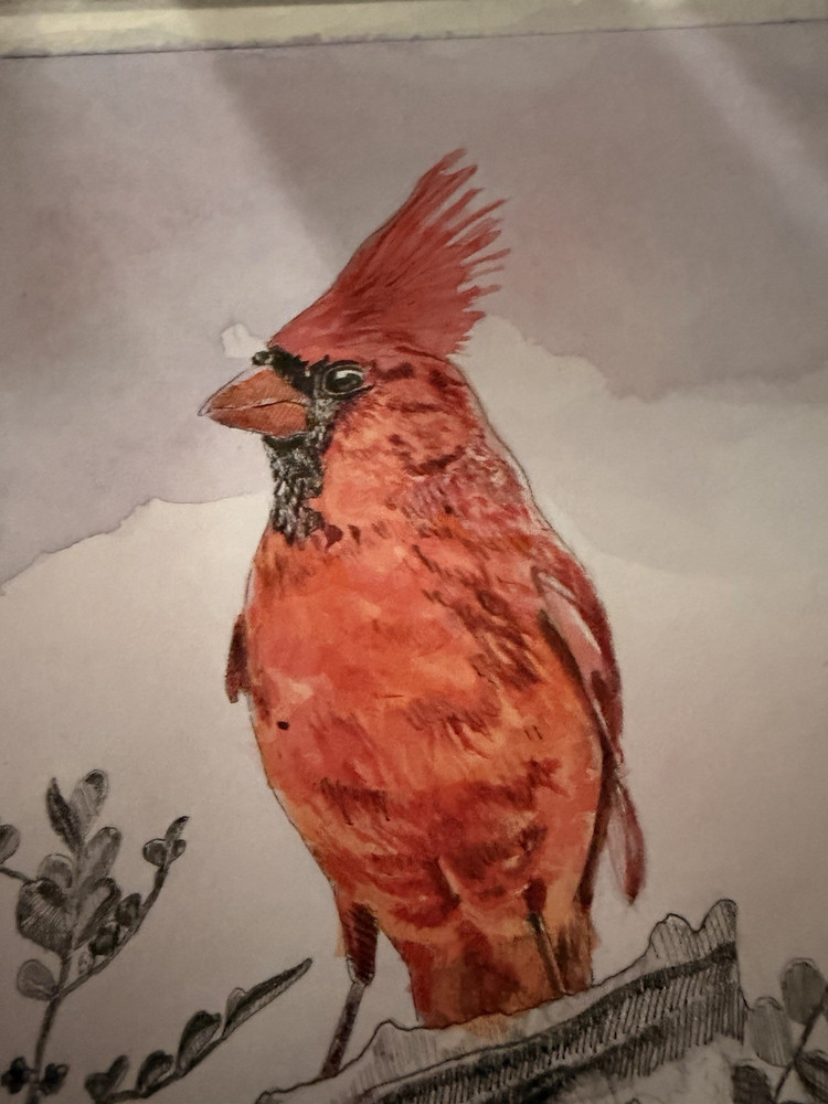 Cardinal Bird Realism Painting on Paper Unframed Single Piece Animals Nature