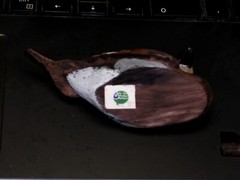 Little Wild Duck Gorgeous Hand Painted Decoy Art Nature’s Window R. Desjardins