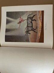 PORTFOLIO OF HORSE PAINTINGS WESLEY DENNIS MARGUERITE HENRY 20 REMOVABLE PRINTS