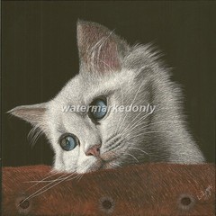 Ampersand Pro Board Original 8″x8″x1/4″ Kitten on a Couch Signed