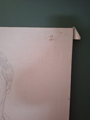 Portrait Study Of Young Man