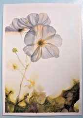 Abstract Floral Watercolor Painting White Background Romantic Botanical A4 Art
