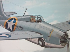 Raymond Waddey Painting F4F Wildcat WWII Combat Pilot Signed W.W. Taylor 18″x24″