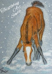 ACEO Miniature Horse Foal Winter Snow Original Artwork Card Signed by Artist