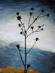 Perfect and very beautiful landscape – mountain flower. 1999 year.