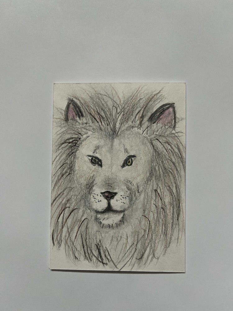 ACEO Original Art Graphite and Charcoal Drawing Lion Abstract by Smlldog