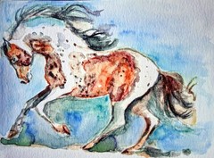 Blue stallion Original watercolor painting,Appaloosa Horse running art 8×5″