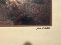 Pair of Arizona Desert Limited Edition, Signed Prints, 13″ x 11″