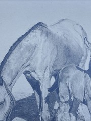 HORSE FAMILY DRAWING HORSES REALISTIC REALISM SHERI GREVES LISTED VINTAGE FAMOUS