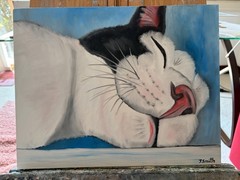 Original oil painting signed 11 x 14 in cute white and black cat sleeping