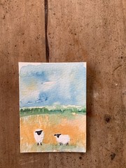 ACEO Original By Kenna Painting 2 Sheep 2.5” X 3.5” Signed ÀTC