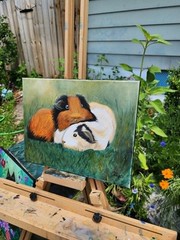 Original Oil Painting „Guinea Pigs in the Grass“ 11×14 Stretch canvas