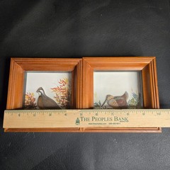 Joseph Quinn Whipple Abercrombie & Fitch 3D SHADOWBOX Pair Birds Woodcock Quail