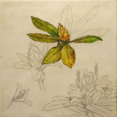 Ursula Brenner „Leaf Bloom“ Wax encaustic on board, Unframed