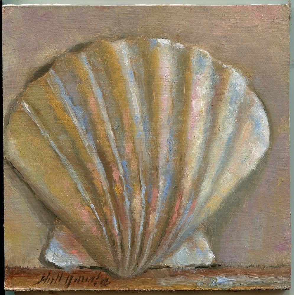 Scallop Seashell 6×6 in. Original Oil on panel by Hall Groat II