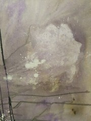 art painting contemporary abstract modern minimalist surrealist landscape flower