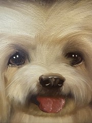 Vintage Signed Real Framed Oil On Canvass Painting Pet Dog Shitzu Puppy 31×26”