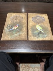 Authentic Lot of 3 1930s Indian bird paintings on Jaipur state stamp paper