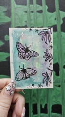 ACEO Purple Moth Exercise 2.5×3.5 Mixed Media Original Ashley Dean Art