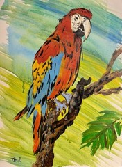 Macaw Parrot Painting 11×14 Canvas Original Tropical Bird Colorful Wildlife Art