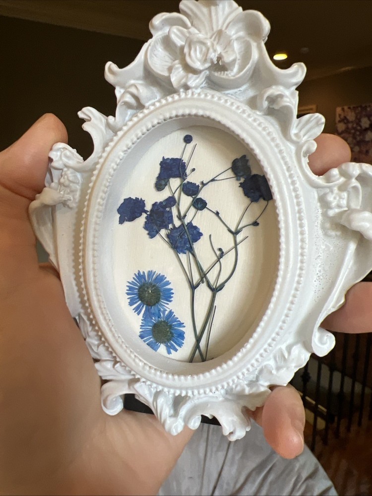 Dried Flowers ,real,cute,original,miniature small,mini,framed