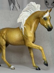 Comissions For Model Horse Painting‼️READ DESCRIPTION‼️