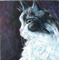 Portrait Cat Oil Painting. Painting Animal for Cat Lovers. No Frame. 20×20 cm