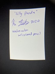 aceo original painting, silly panda, watercolor, colored pencil, 2.5 x 3.5