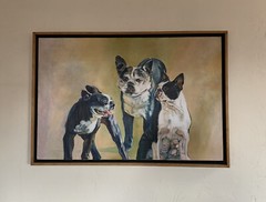 Original Painting Boston Terrier French Bulldog Family Dog Mom Dad & Puppy Vtg ?