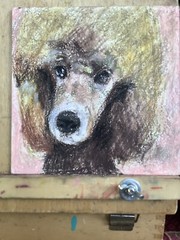 New York City Dog Poodle Oil Pastel Portrait Impressionist Art 6”x6”