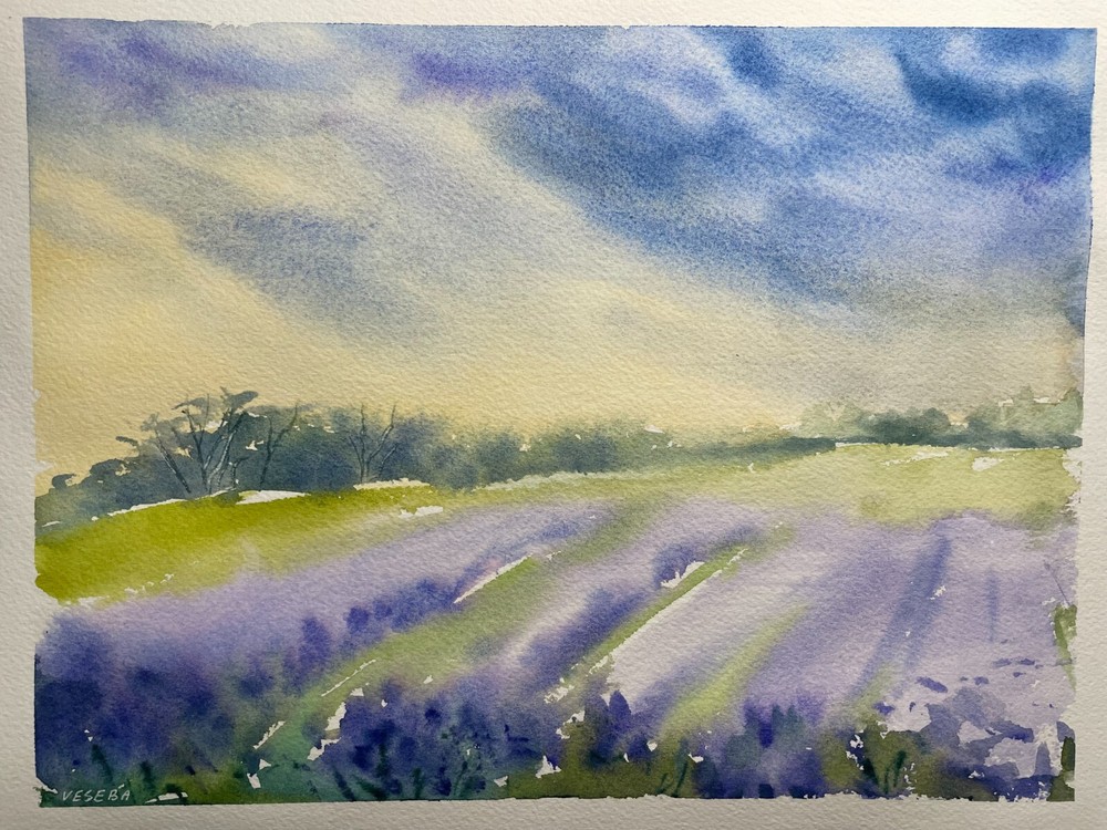 Original Watercolor Painting Landscape Nature Flowers – 9×12 inches – NEW