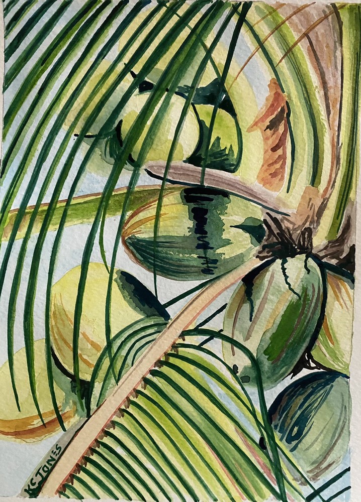 COCONUT PALM | botanical Painting Tropical Watercolor art Kristi C Jones Tree