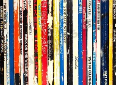 Vinyl Spine Painting by Daniel Dens