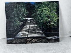 acrylic painting on canvas Linda Anderson Bridge In Forest Contemporary-Realist