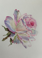 HYPERREALISM Flowers VINTAGE PINK Rose Original Artwork Painting Floral Gift A4