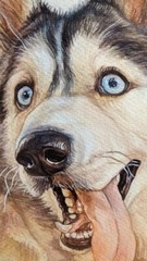 Custom Pet Portrait from Photo 12×16″ Realistic Watercolor Personalised Painting