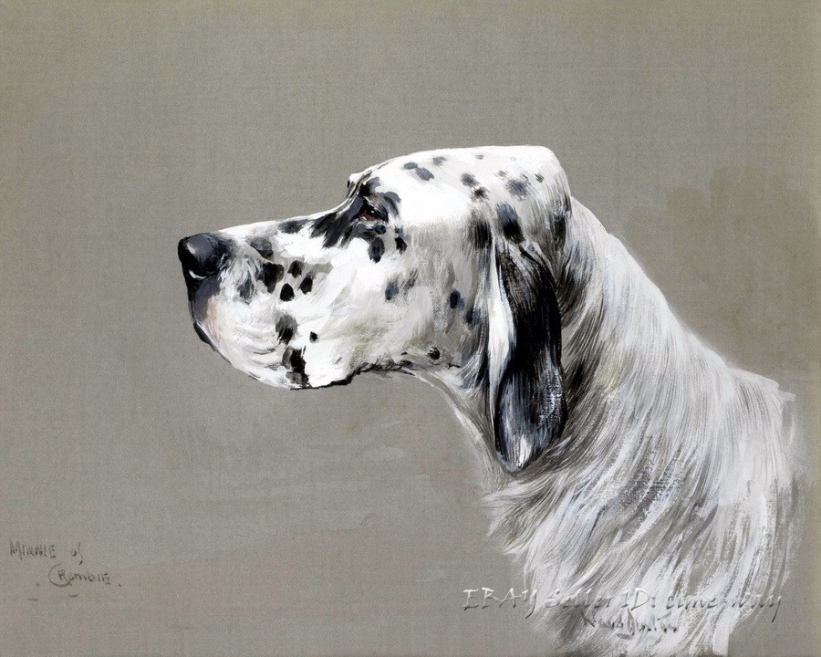 Hounds Dogs oil paintings Wall Art Giclee Printed on Canvas P684