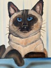 Original oil painting 11 x 14 inch Siamese cat signed canvas