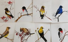 Daily painting Watercolor.