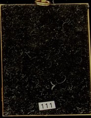 Portrait Miniature Of Distinguished Gent Accompanied By Lithograph, C. 1890-1915