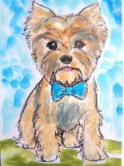 ACEO Super Cute YORKIE YORKSHIRE TERRIER DOG Painting Art