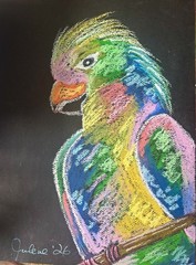 Colorborn Parrot – Original Oil Pastel Abstract Bird 9×12