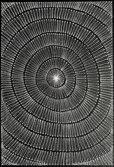 Mary Rumble Pitjara.Highly Collectable Aboriginal Art. Incl COA and photo’s