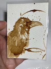 Coffee Aceo Original Raven Painting Bird Lover Miniature Realism ATC Art Gift US