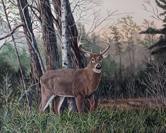 Deer Wildlife, Acrylic Painting Of a Buck In Woods On 16×20 Stretch Canvas
