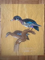 Vintage Watercolor Painting Wood Duck Pair John Matassa Signed OOAK 24 x 20
