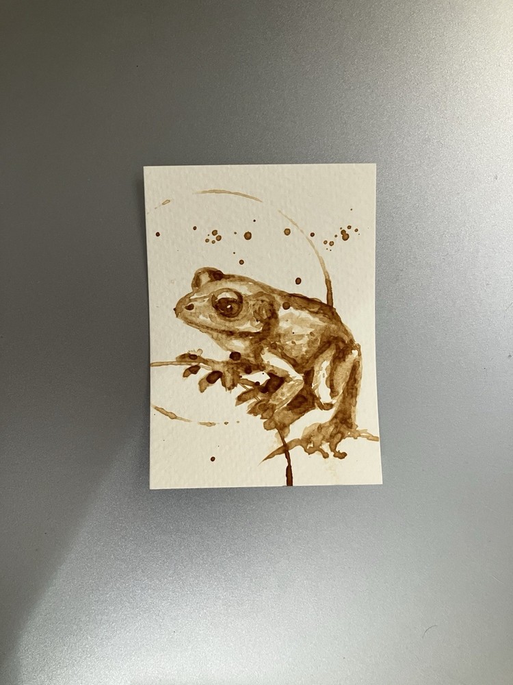 ORIGINAL Frog Coffee Painting Miniature Realism ACEO Lover ATC Art Amphibians US