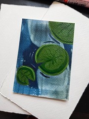 Original ACEO Lily Pad 2.5 inches by 3.5 inches gouache cyanotype