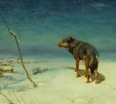 The Lone Wolf Oil painting Wall Art HD Giclee Printed on canvas P1919